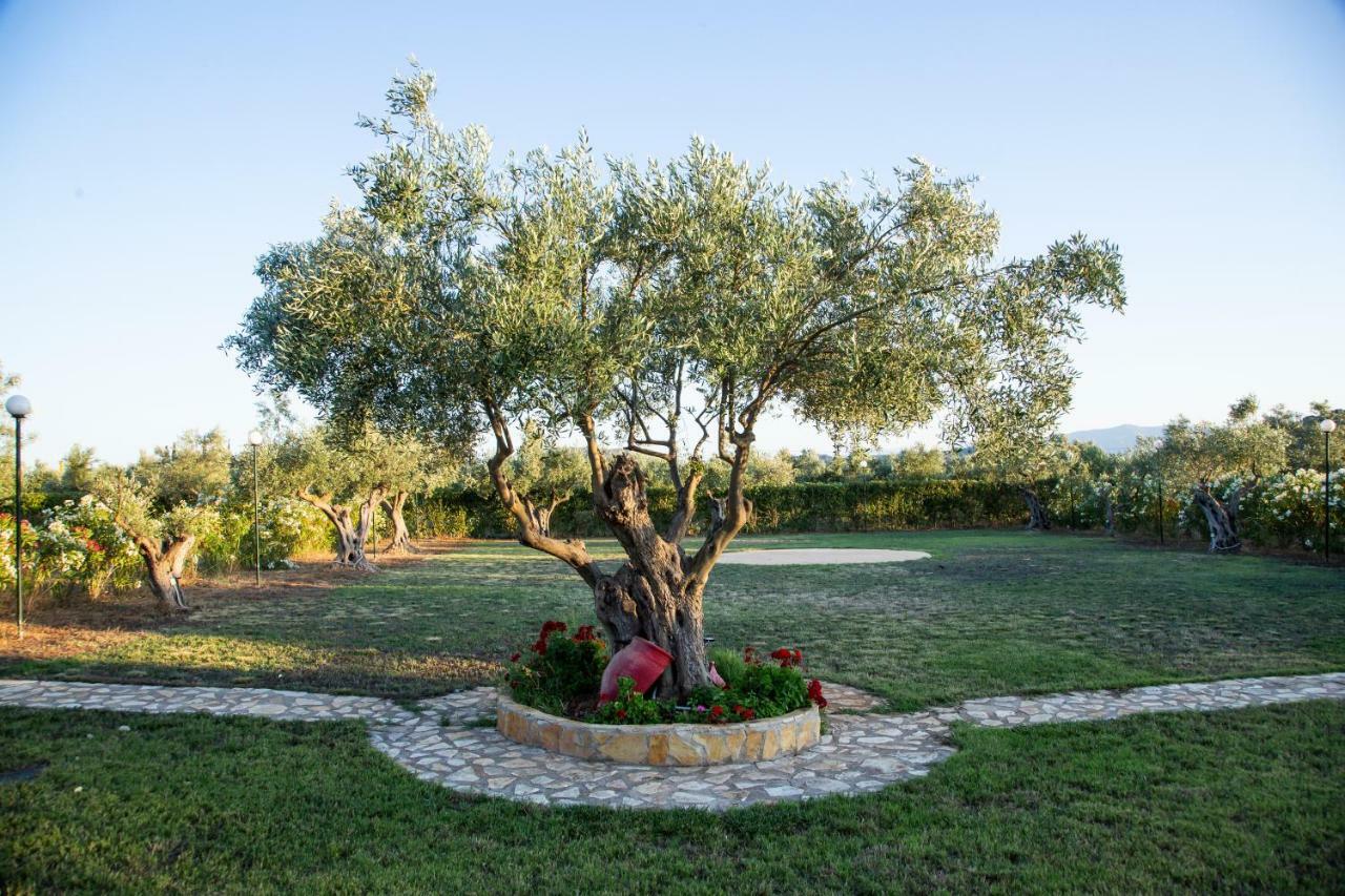 Agroktima Elia Lejlighed Nafplio Eksteriør billede